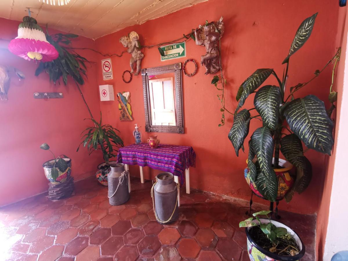 Хостел La Casa Del Abuelo Альенде Экстерьер фото